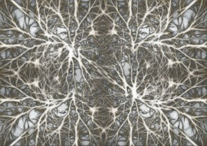 neurons-582050_1280